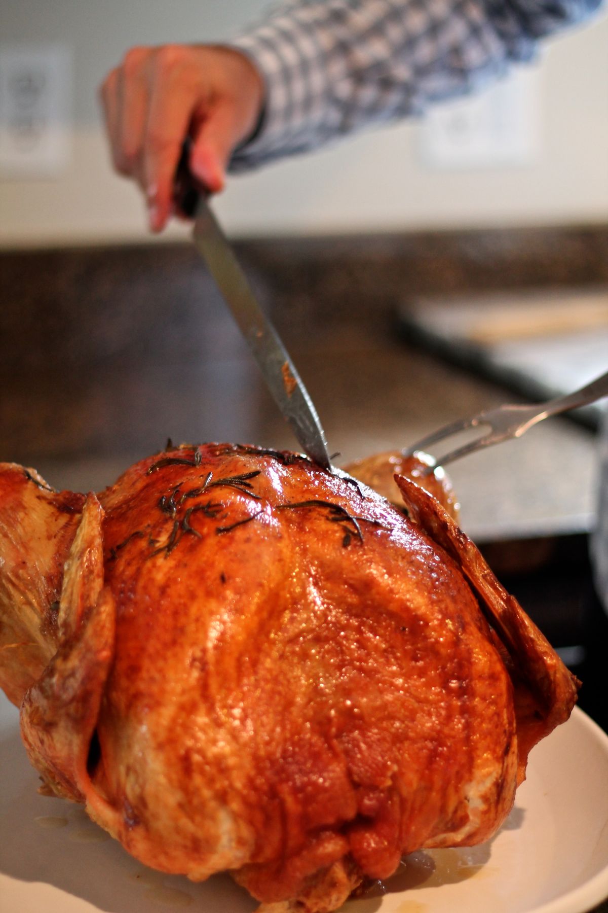 Thanksgiving Turkey Carving