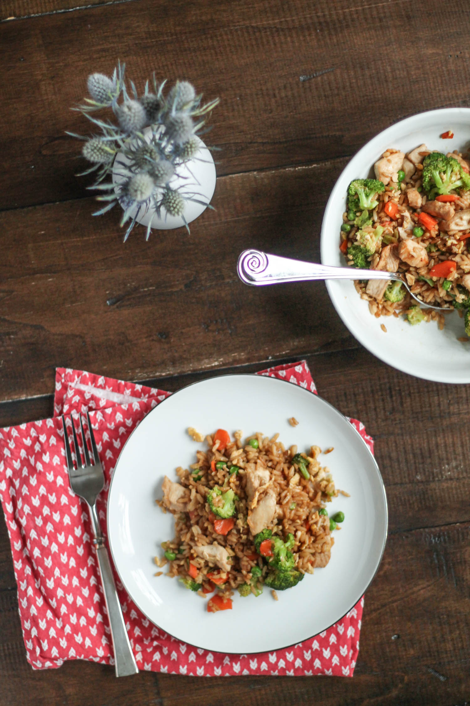 Chicken and Vegetable Fried Rice-2