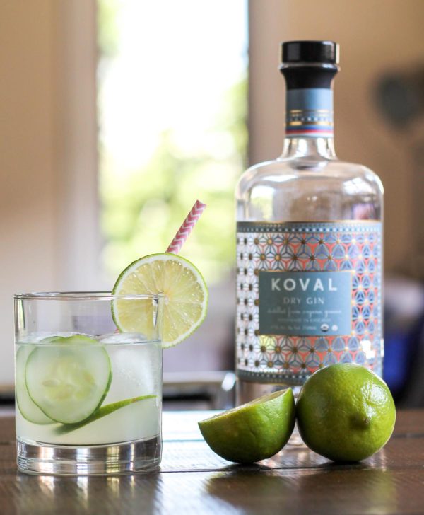 Cucumber Lime Gin and Tonic