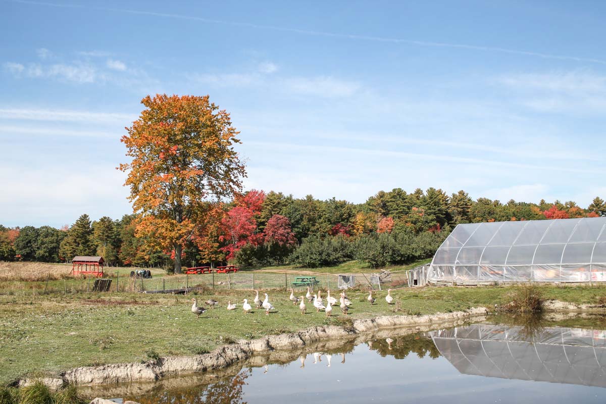 kennebunkport-fall-3