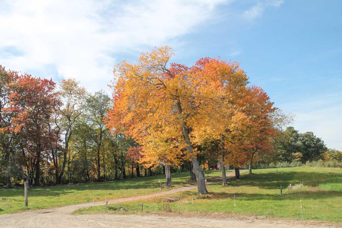 kennebunkport-fall-4