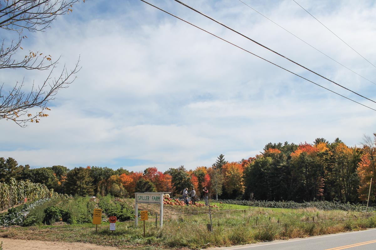 kennebunkport-fall-9