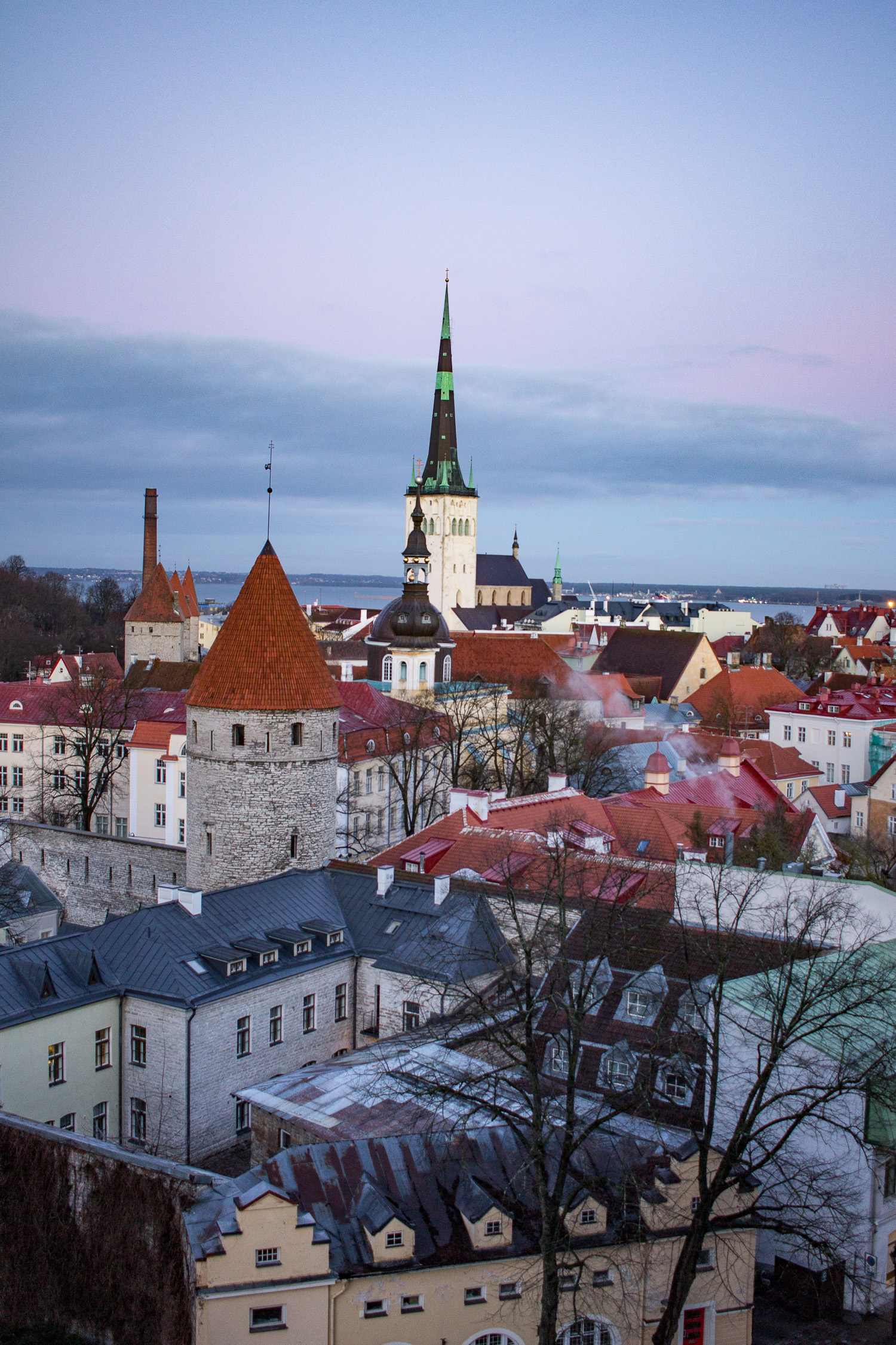 What To Do In Tallinn Estonia Thekittchen
