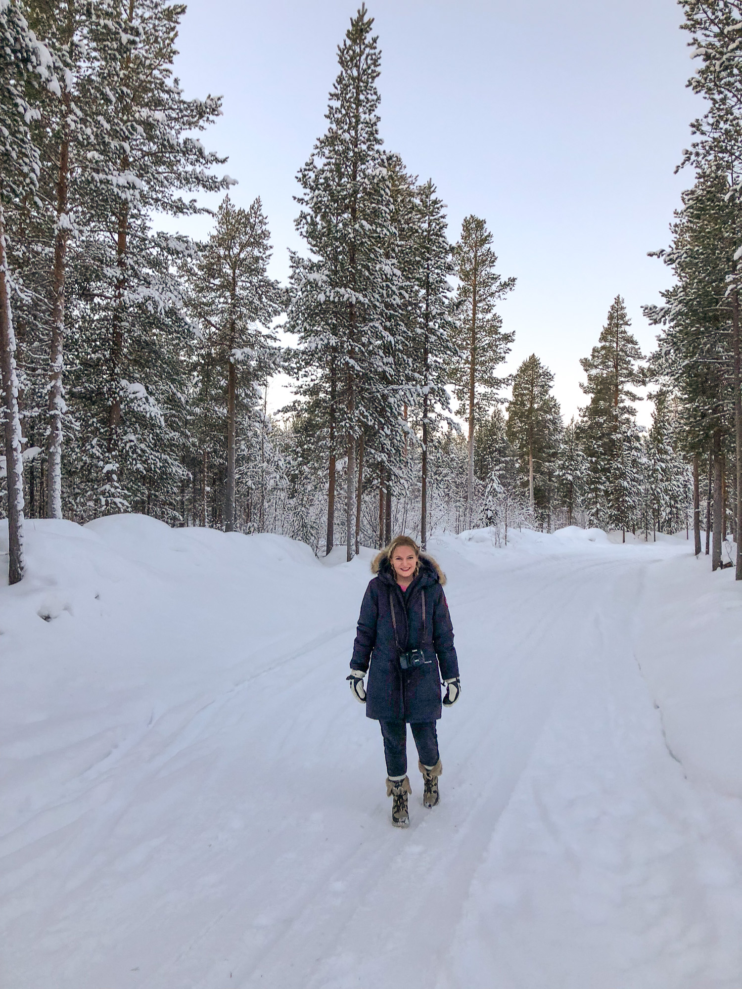    Why You Should Visit Lapland 6 