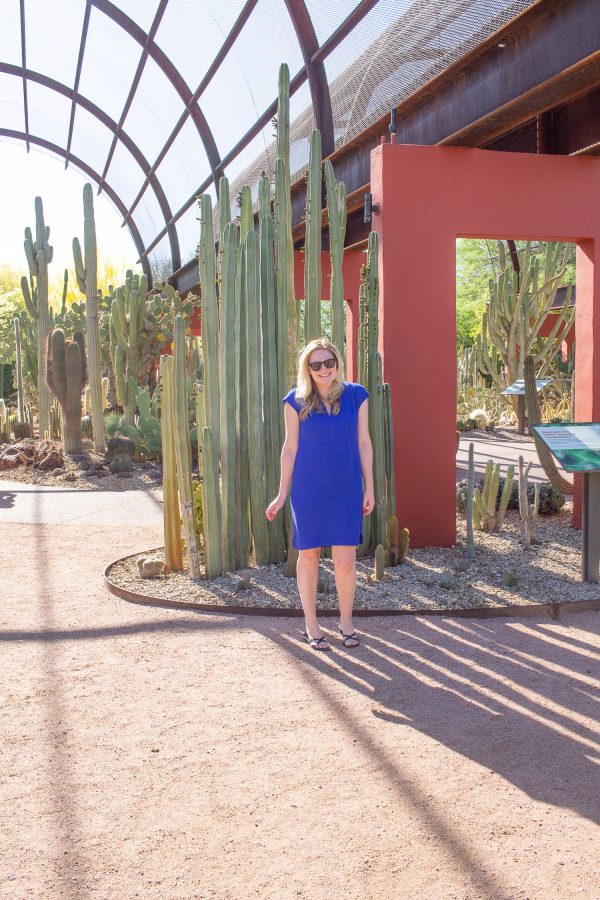 What to do in Scottsdale - Desert Botanical Garden