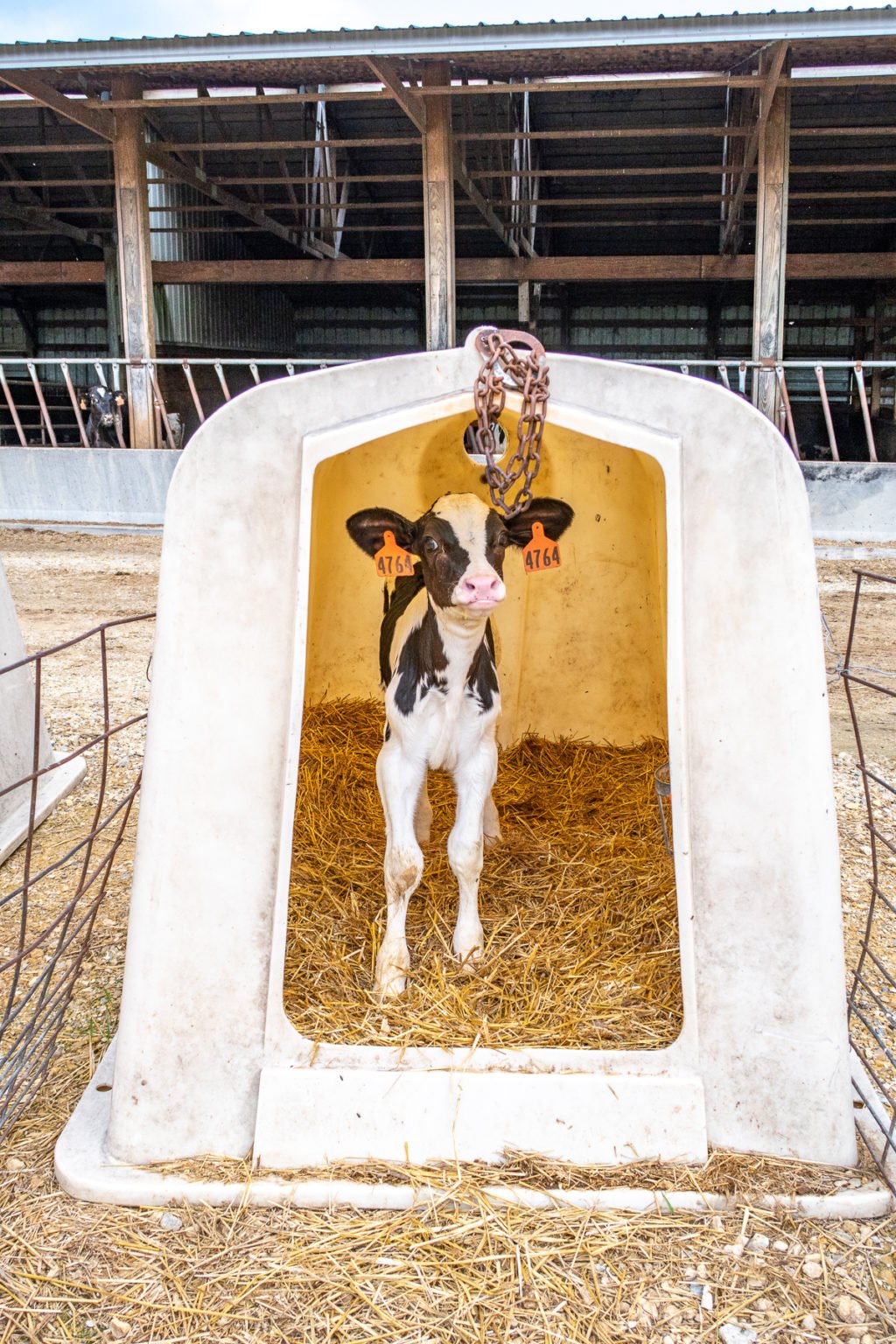 Touring Hildebrandt Farm with Illinois Farm Families and the Best