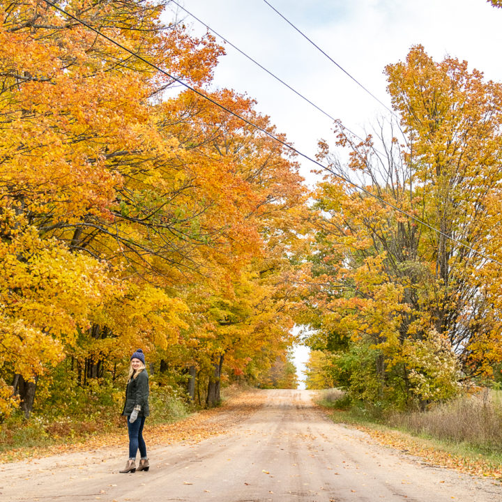 Traverse City in Fall