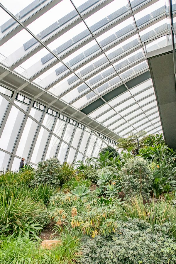 What to do in the City of London Sky Garden