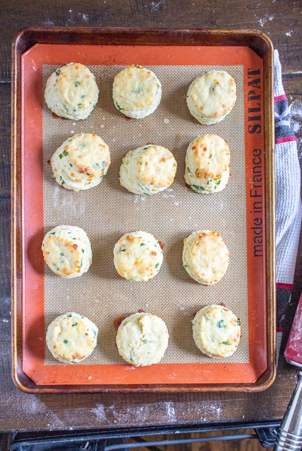 Green Onion and Cheddar Biscuits are easy to make with just 20 minutes of active preparation time. These biscuits are the ideal combination of buttery and cheesy, with a nice fresh flavor from the green onion.