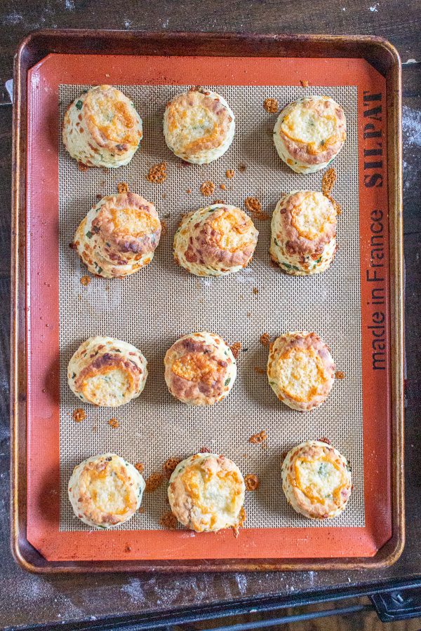 Green Onion and Cheddar Biscuits are easy to make with just 20 minutes of active preparation time. These biscuits are the ideal combination of buttery and cheesy, with a nice fresh flavor from the green onion.