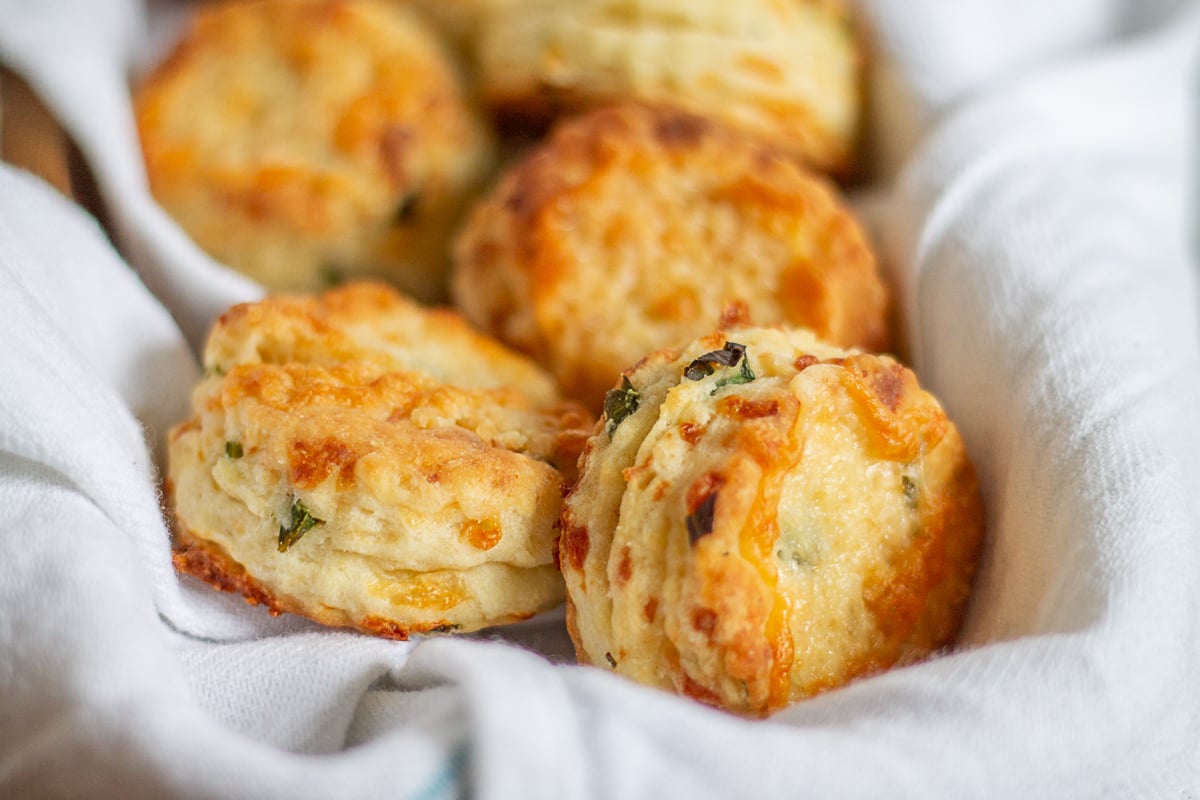 Cheddar and Green Onion Biscuits Easy Cheddar Biscuit Recipe