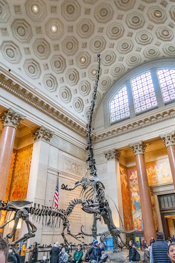 What to do in the Upper West Side | American Museum of Natural History