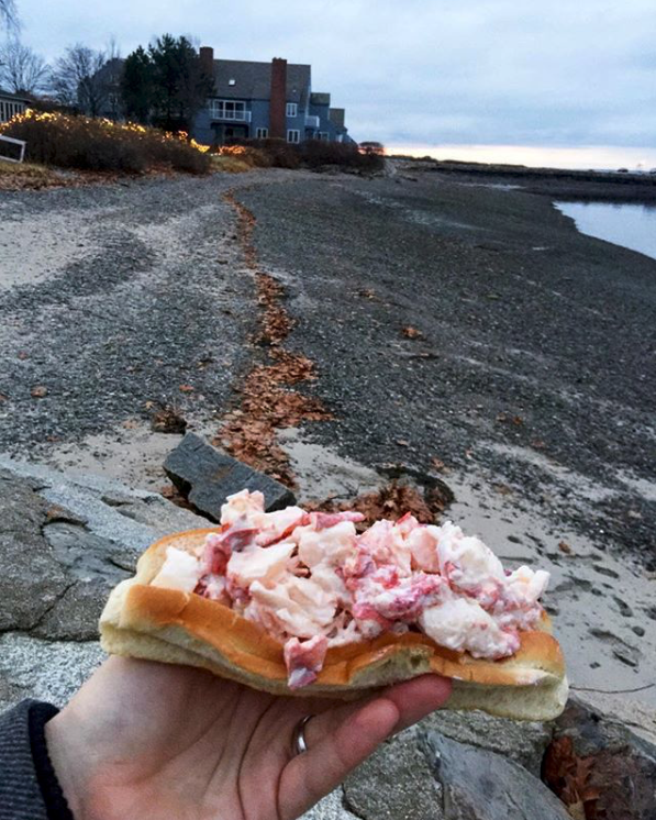 Maine Foods - Lobster Roll in a top split hot dog bun
