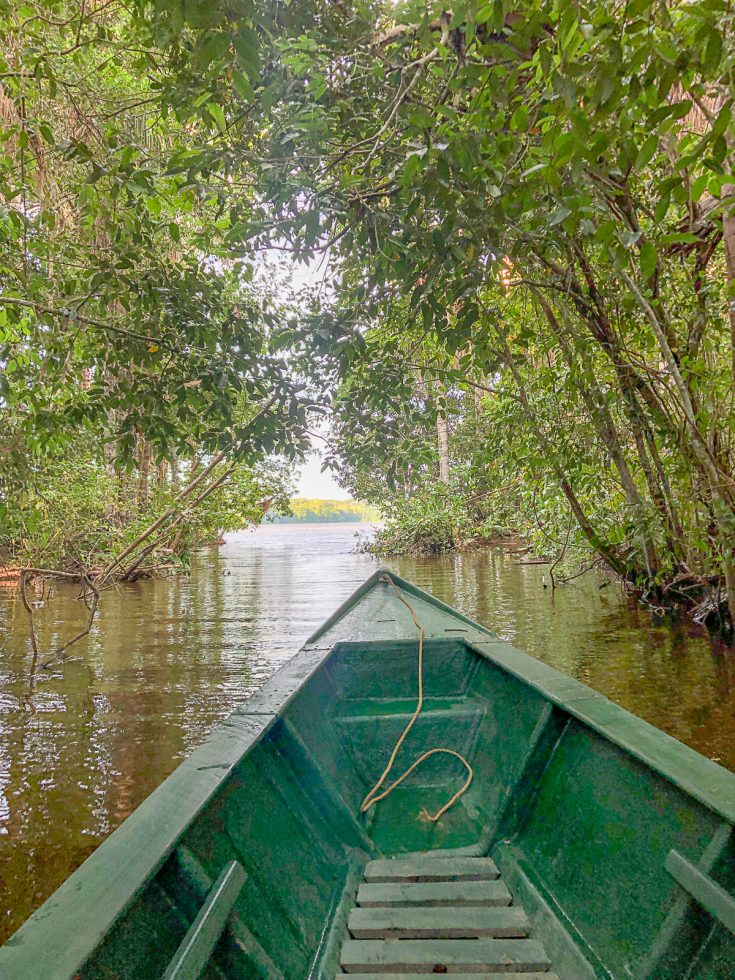 A Trip to the Amazon Rainforest | Amazon Rainforest Travel Guide