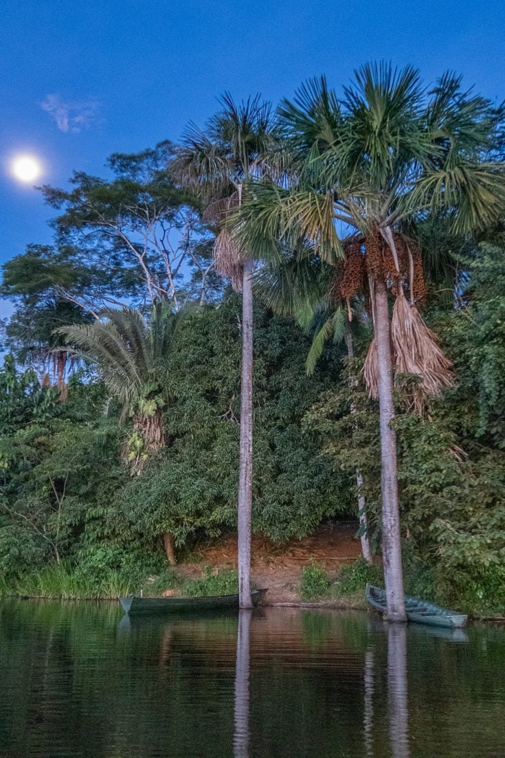 A Trip to the Amazon Rainforest Amazon Rainforest Travel Guide