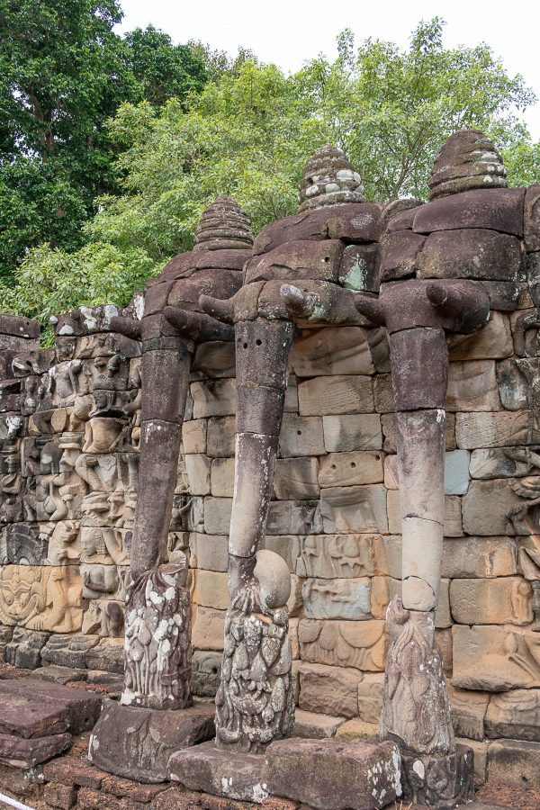 What to do in Siem Reap Elephant