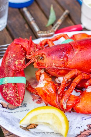A Traditional Maine Lobster Bake in a Pot - thekittchen