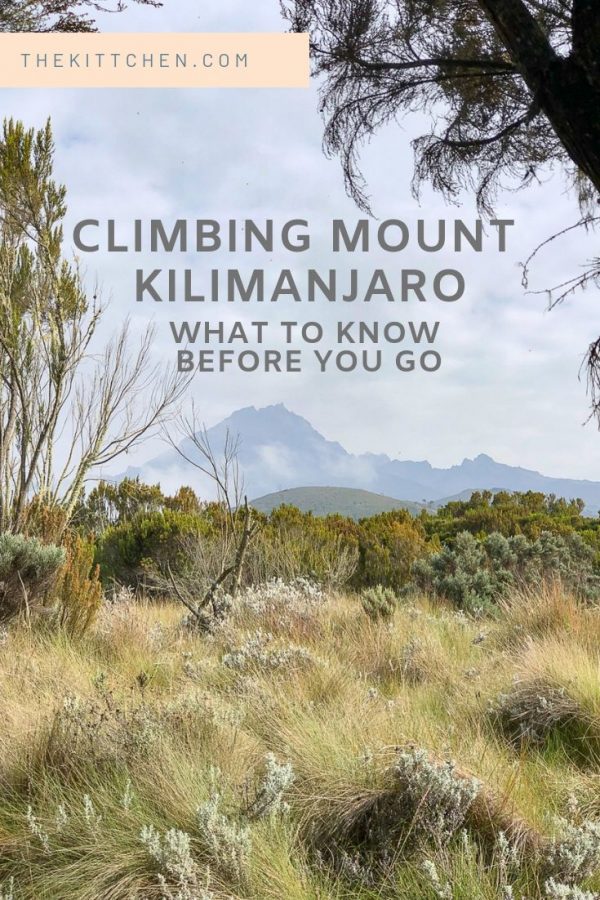 Climbing Mount Kilimanjaro - what to know before you go