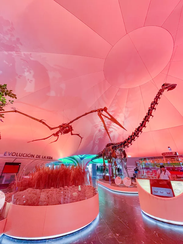 Best Things to Do in Mexico City with Kids: The Museum of Natural History