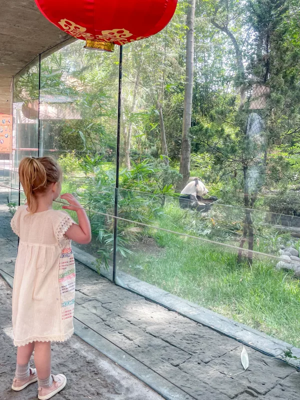 Best Things to Do in Mexico City with Kids: The Zoo