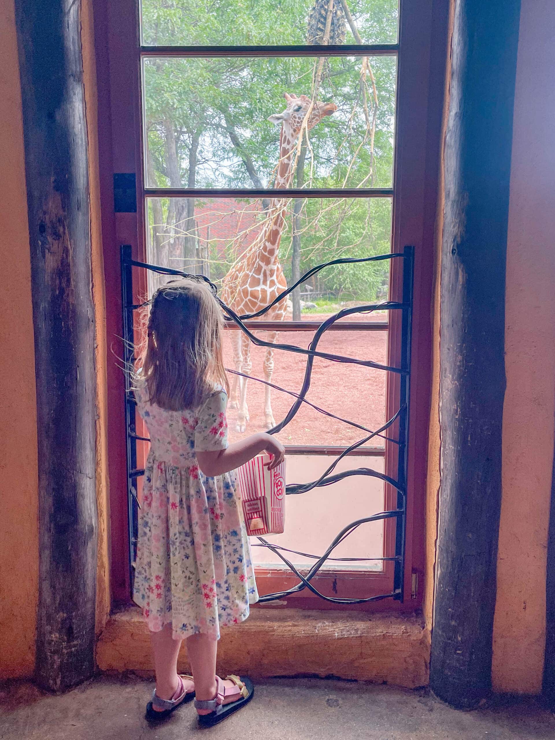 Best Things to Do in Chicago with Kids : Lincoln Park Zoo
