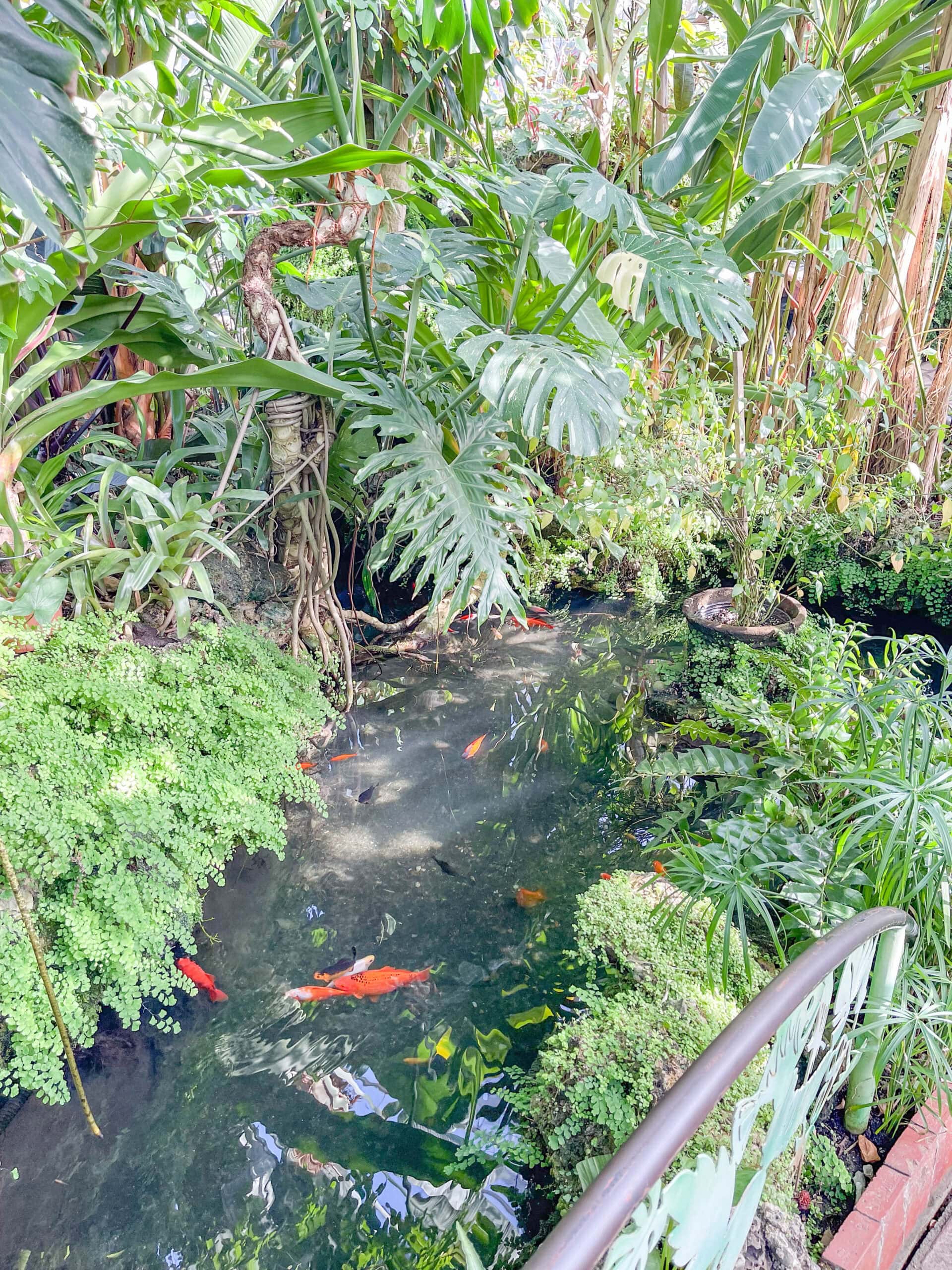 Things to do in Oak Park: Oak Park Conservatory