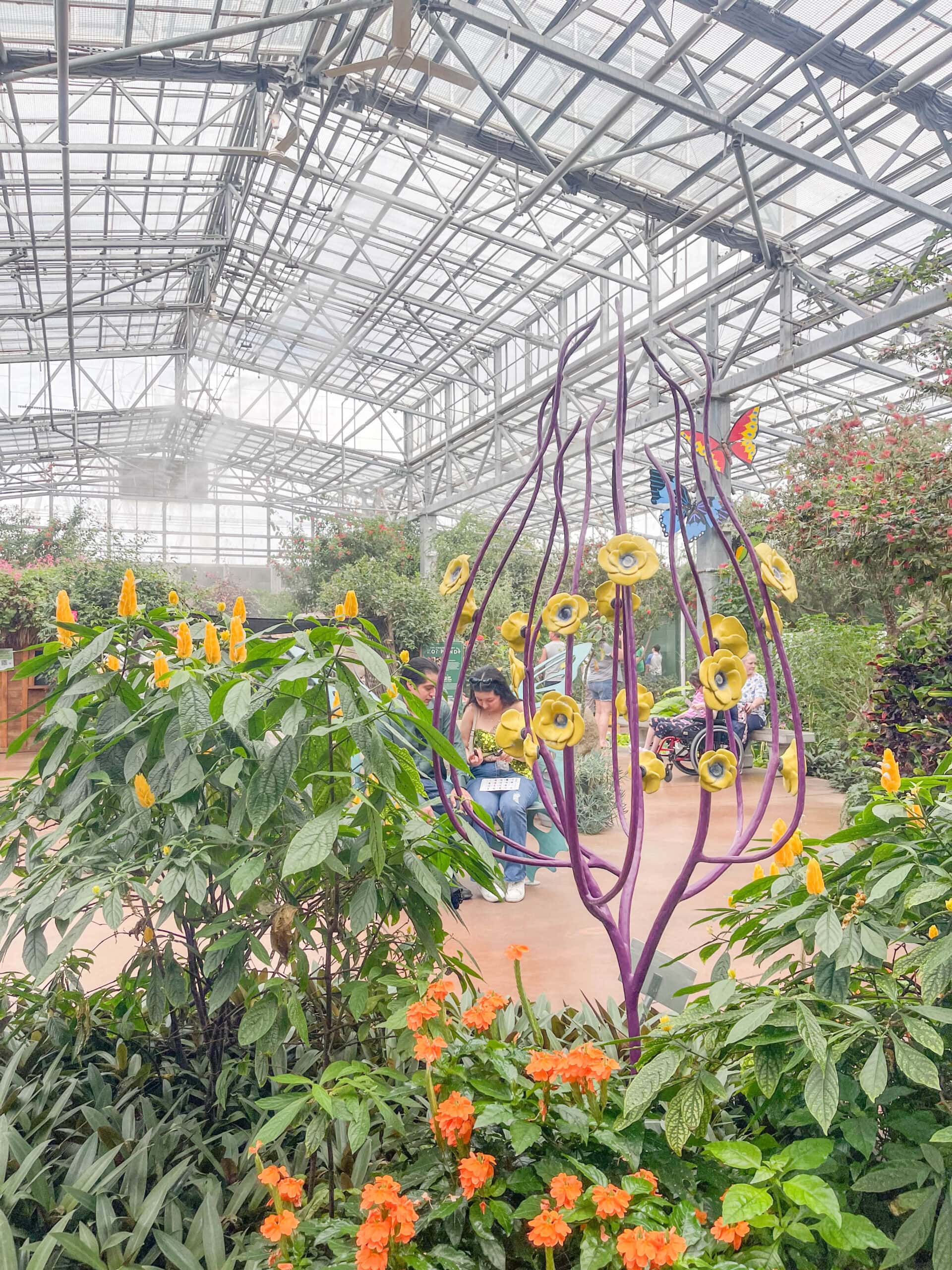 A guide to some of the best things to do in Scottsdale with kids, including seeing butterflies, the aquarium, exploring Old Town, and some exceptional pools.