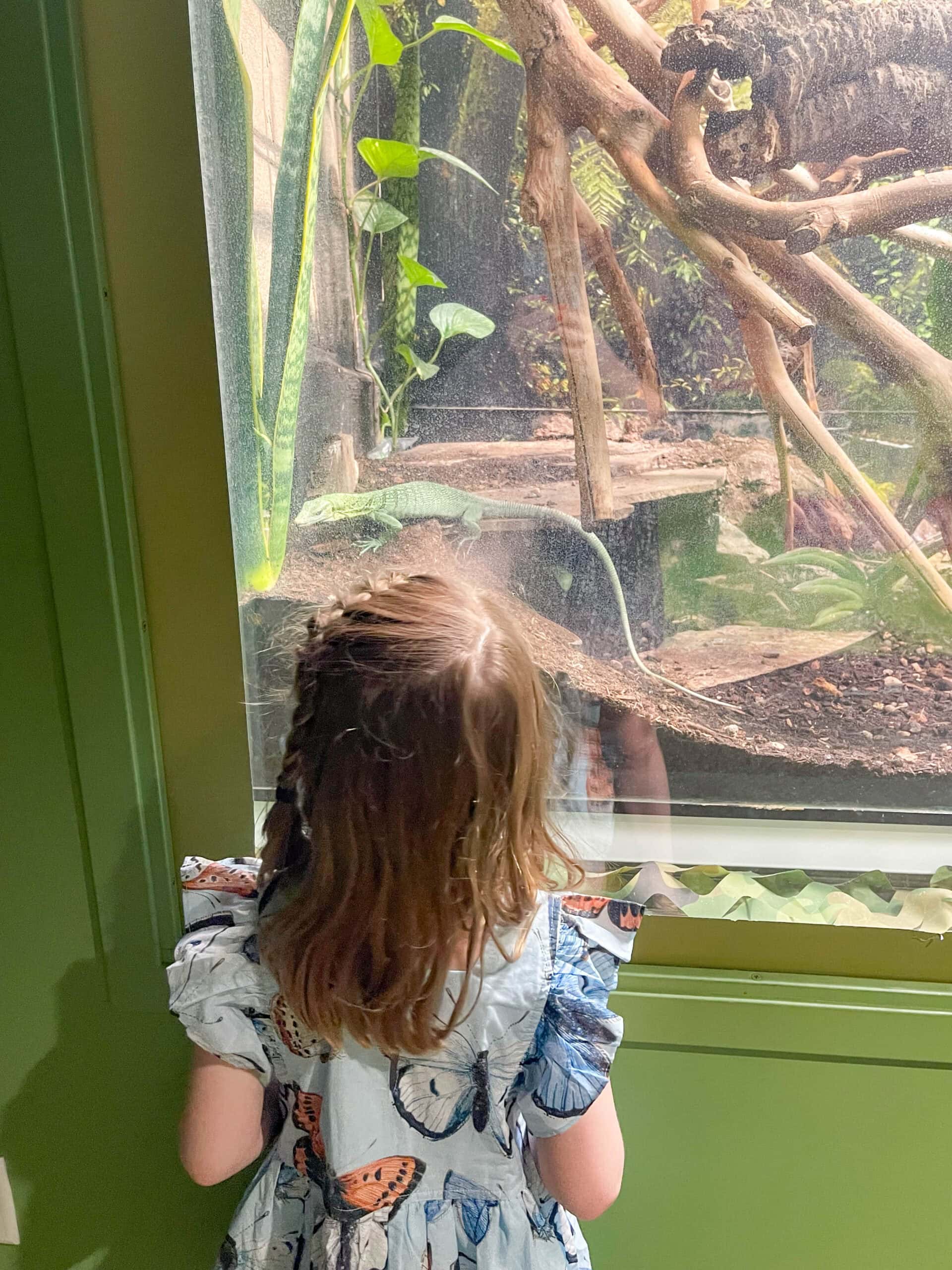 A guide to some of the best things to do in Scottsdale with kids, including seeing butterflies, the aquarium, exploring Old Town, and some exceptional pools.
