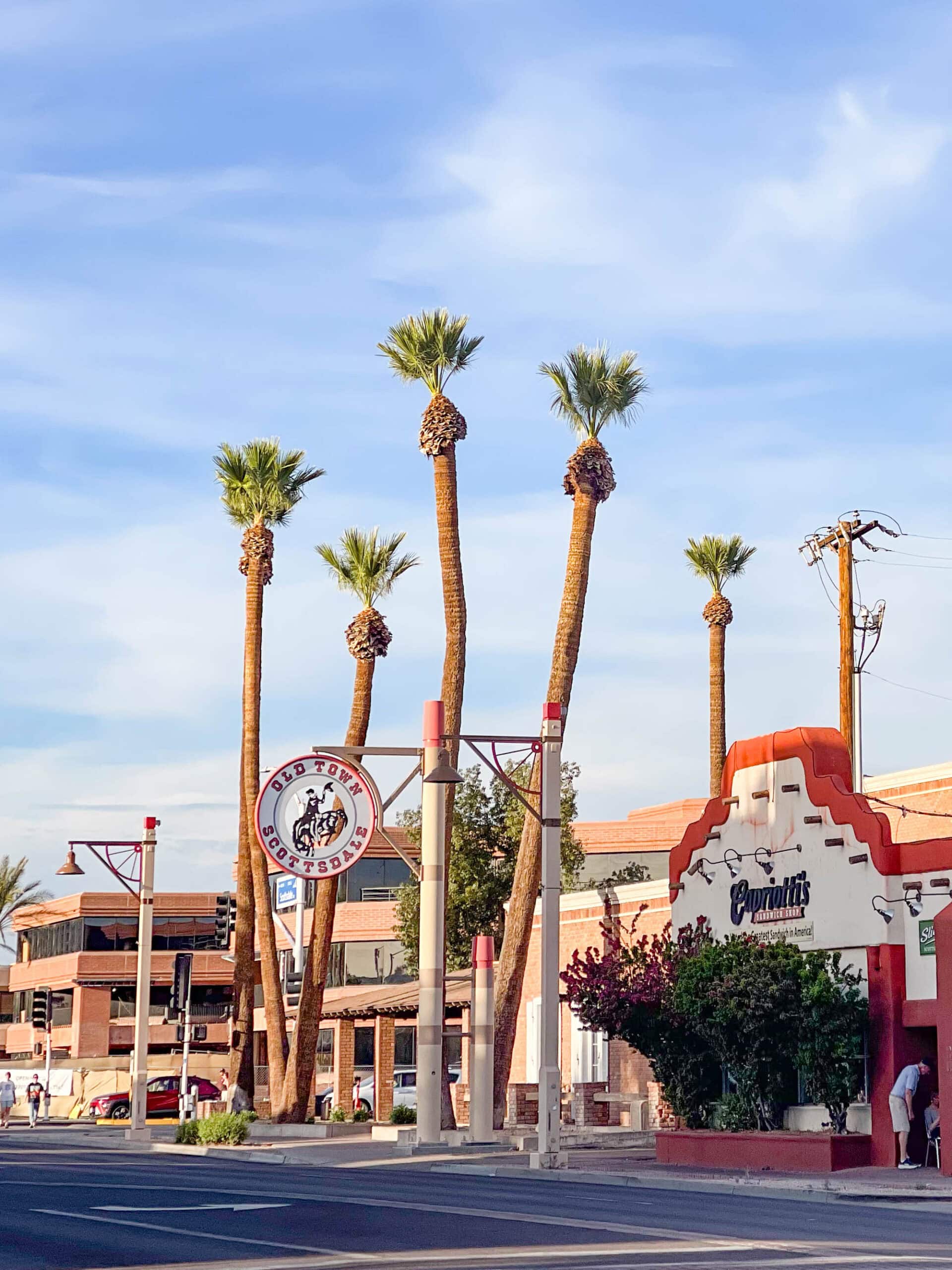 A guide to some of the best things to do in Scottsdale with kids, including seeing butterflies, the aquarium, exploring Old Town, and some exceptional pools. 